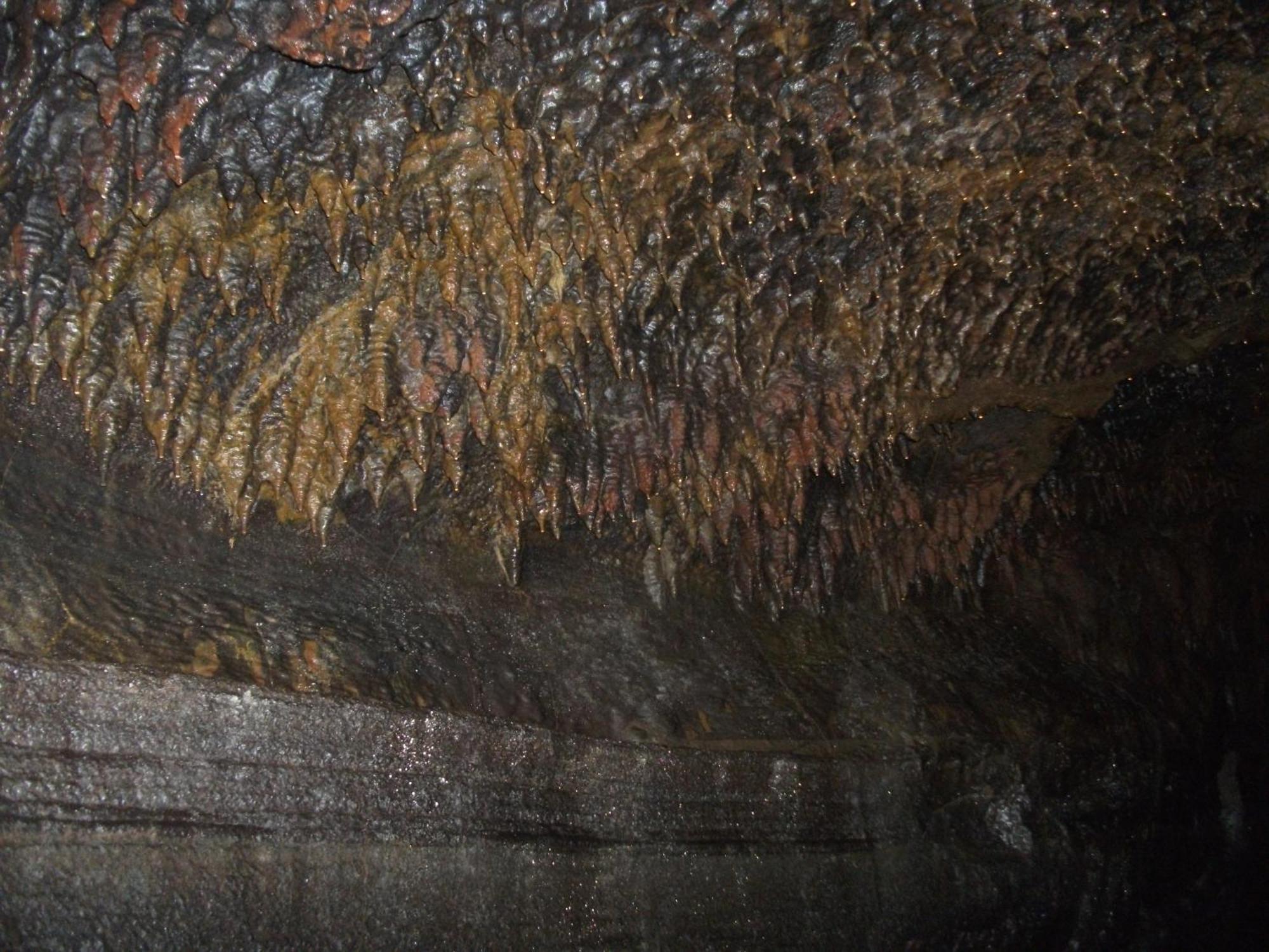 Aloha Crater Lodge Volcano Dış mekan fotoğraf